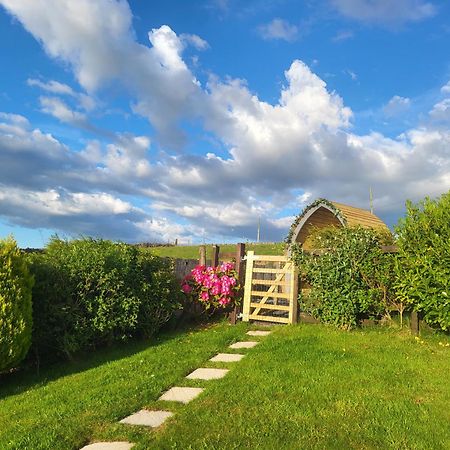 Bwthyn Plas Hafod Cottage Llanllyfni Экстерьер фото