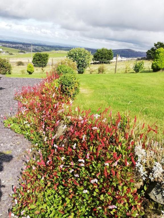 Bwthyn Plas Hafod Cottage Llanllyfni Экстерьер фото