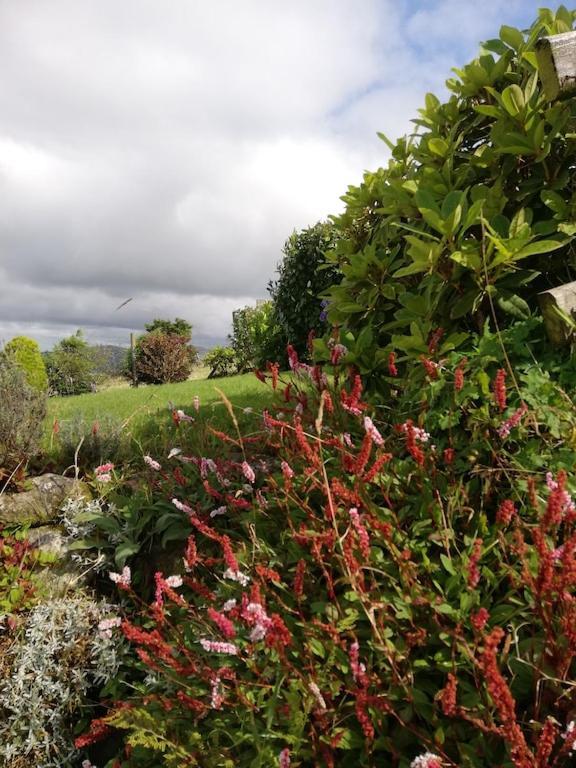 Bwthyn Plas Hafod Cottage Llanllyfni Экстерьер фото