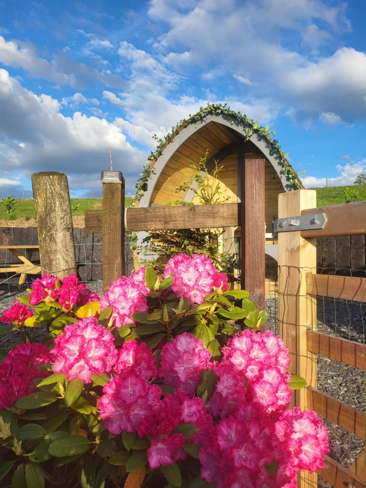 Bwthyn Plas Hafod Cottage Llanllyfni Экстерьер фото