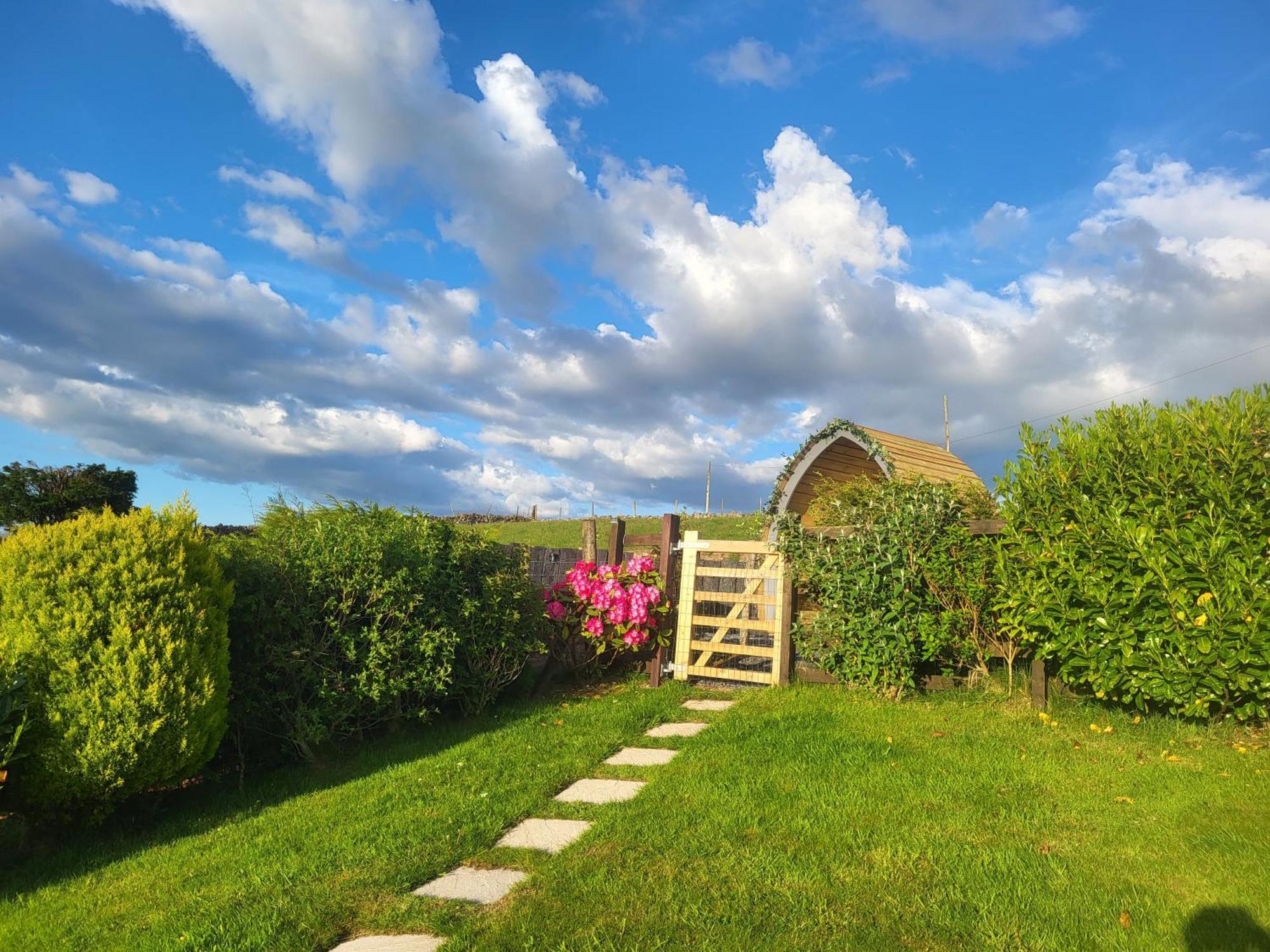 Bwthyn Plas Hafod Cottage Llanllyfni Экстерьер фото